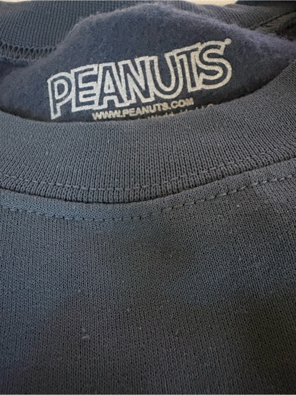 Peanuts Blue Crewneck Sweatshirt with Snoopy & Woodstock Graphic XL New With Tag - Picture 5 of 10
